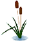 �Ϲ�